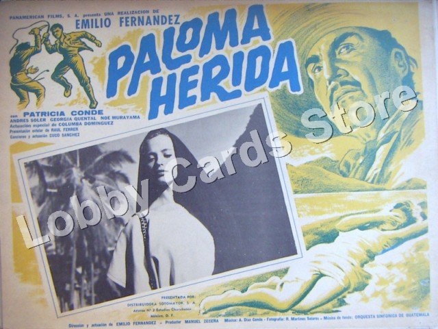 PATRICIA CONDE/PALOMA HERDIDA